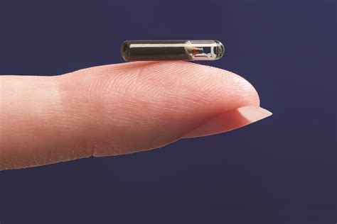 rfid chip funktion|rfid chips for sale.